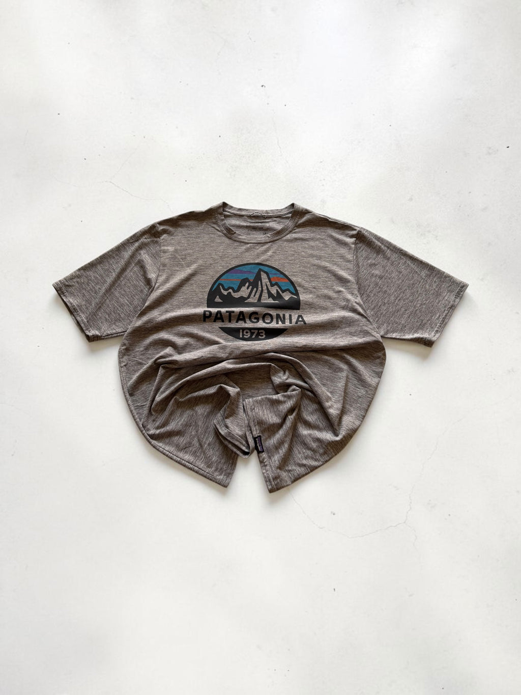 Patagonia Grey Tshirt- S