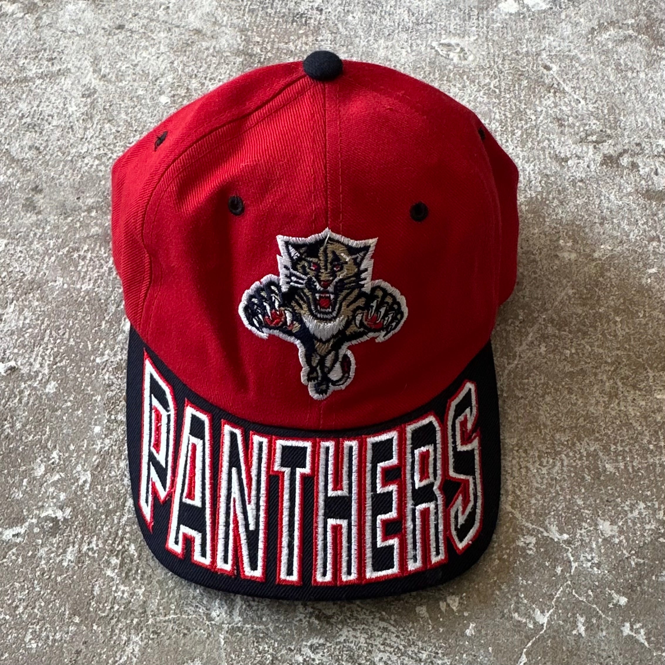 Panthers NHL Cap